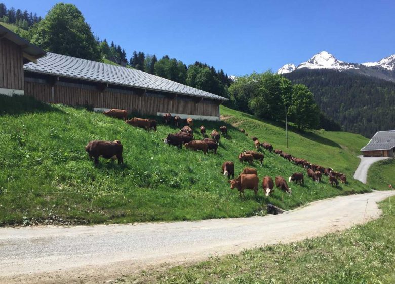 Soirée repas à la ferme