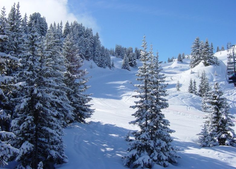 Itinéraire raquettes La Méfia tè des capstôts (en patois : méfie-toi des p’tits sapins)