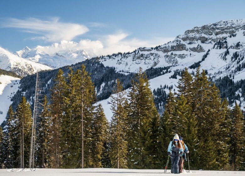 Itinéraire raquettes La piste de la Grand-Parre