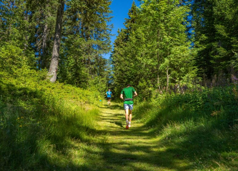 Trail de la Bambée des Saisies