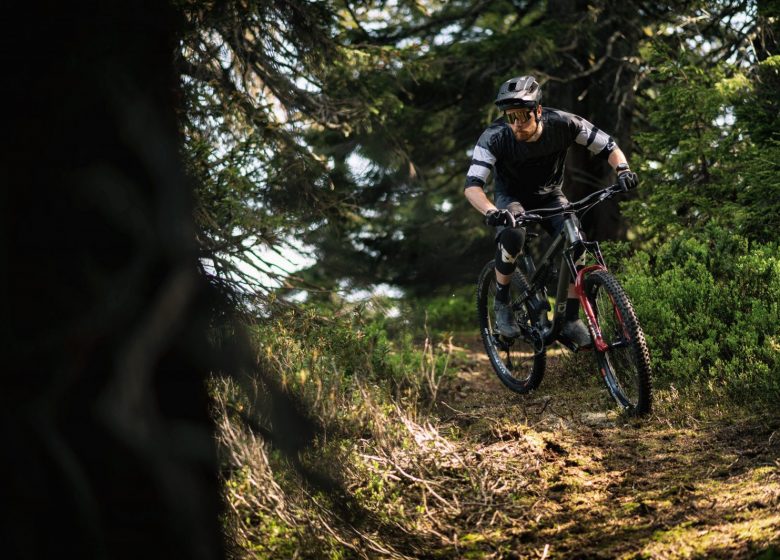 Itinéraire VTT – La Bleue Arêchoise (Enduro)