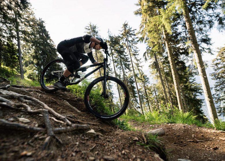 Itinéraire VTT – La Vachette (Enduro)