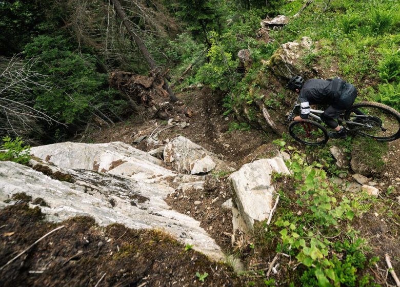 Itinéraire VTT – L’Ami (Enduro)