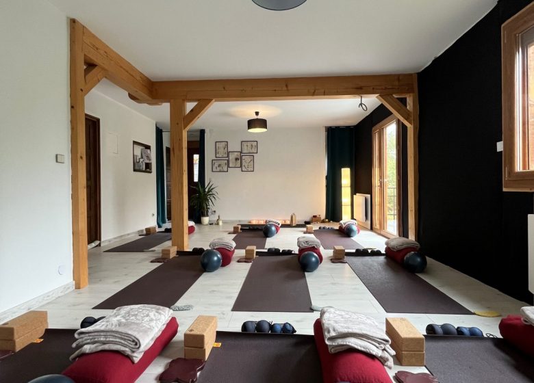 Atelier yin yoga  Accueillir l’Hiver